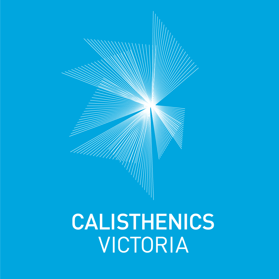 CVI 2017 Logo